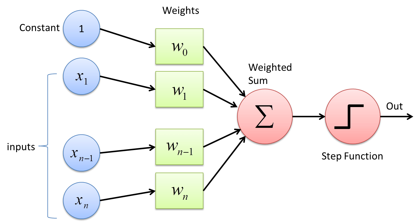 Perceptron Structure